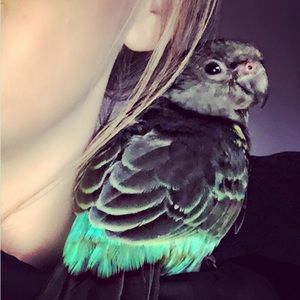 Meet your Posher, Sarah